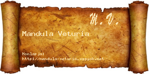 Mandula Veturia névjegykártya